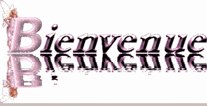 Gif animé bienvenue reflet